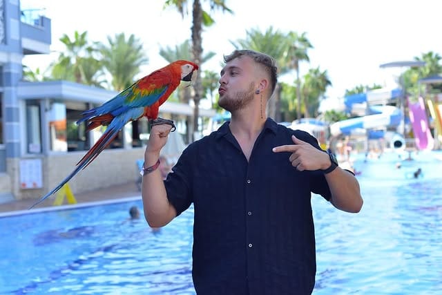 DJ Denny - s parrot