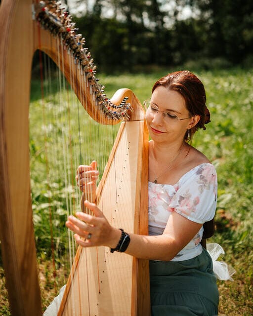 Harfista Harfistka Harfa